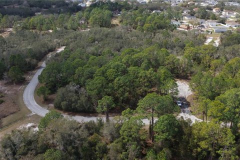 Land in Kissimmee, Florida № 2164990 - photo 7