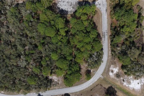 Land in Kissimmee, Florida № 2164990 - photo 15