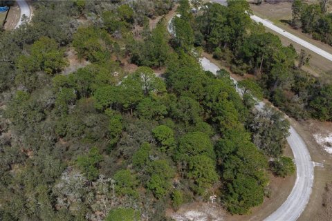 Land in Kissimmee, Florida № 2164990 - photo 4