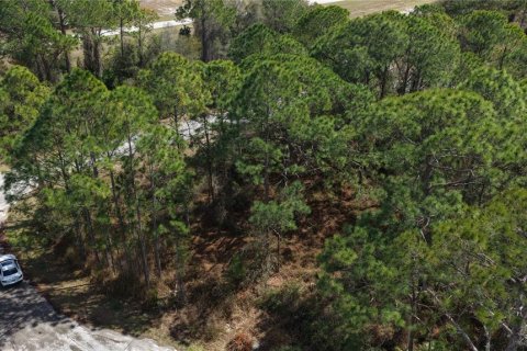 Land in Kissimmee, Florida № 2164990 - photo 16