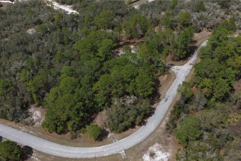 Land in Kissimmee, Florida № 2164990 - photo 3