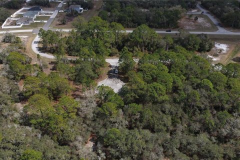 Land in Kissimmee, Florida № 2164990 - photo 6