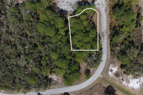 Land in Kissimmee, Florida № 2164990 - photo 2