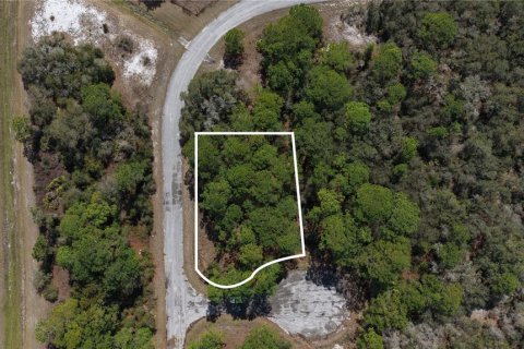 Land in Kissimmee, Florida № 2164990