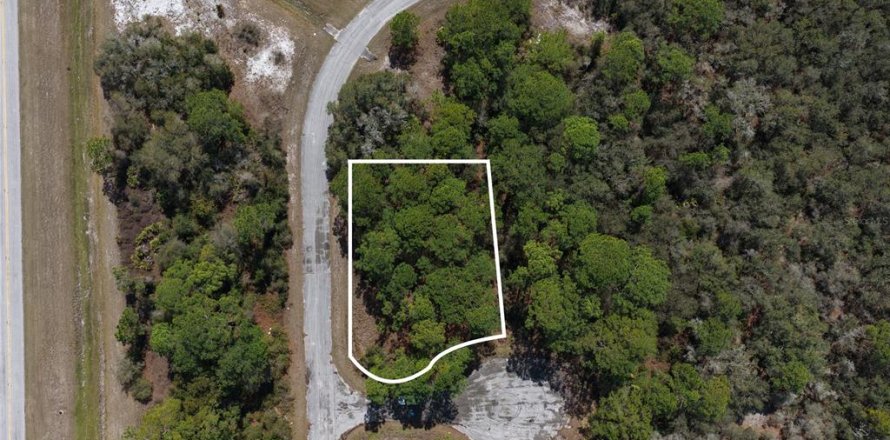 Land in Kissimmee, Florida № 2164990