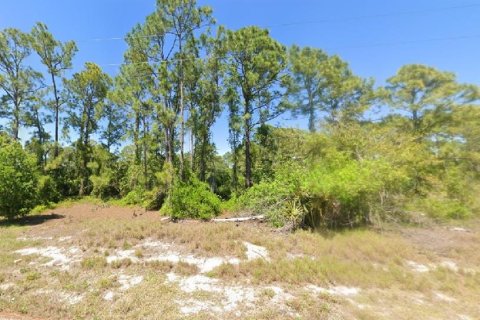 Land in Lake Placid, Florida № 2162772