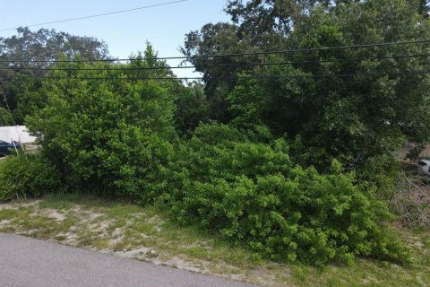 Land in CRESTVIEW in Tarpon Springs, Florida № 1886130 - photo 2