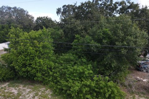 Land in CRESTVIEW in Tarpon Springs, Florida № 1886130 - photo 3