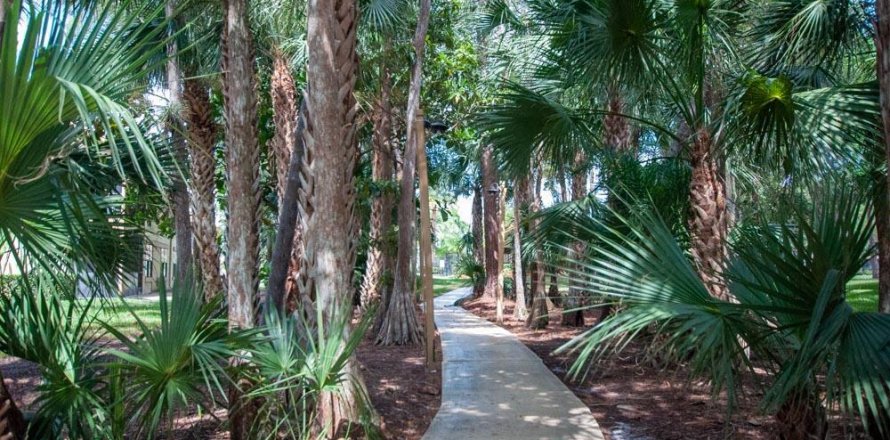 Condo in Wellington, Florida, 3 bedrooms  № 892297