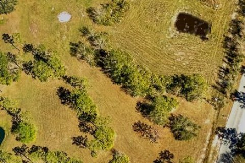 Terreno en venta en Myakka City, Florida № 1530207 - foto 1