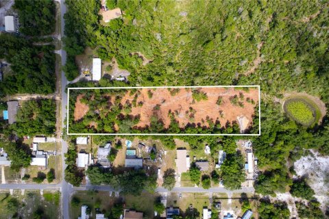 Terrain à DeLand, Floride № 2106752
