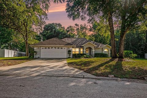 Villa ou maison à Ocala, Floride 3 chambres, 176.42 m2 № 2142693