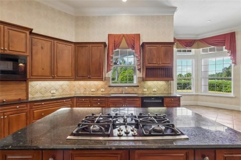 Villa ou maison à vendre à Windermere, Floride: 4 chambres, 447.05 m2 № 2308865 - photo 13