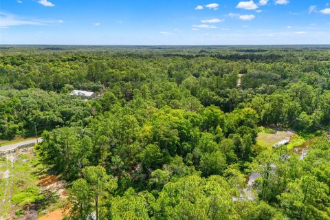 Land in Webster, Florida № 2158674 - photo 9