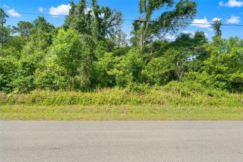 Land in Webster, Florida № 2158674 - photo 5