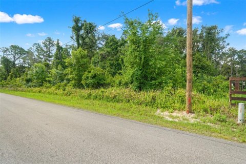 Land in Webster, Florida № 2158674 - photo 6