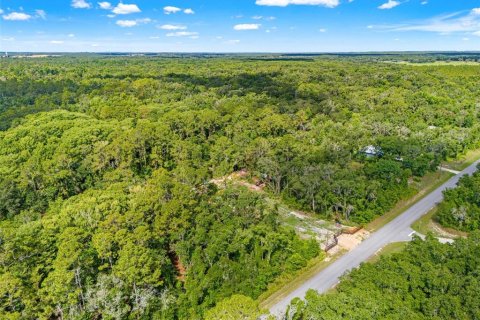 Land in Webster, Florida № 2158674 - photo 4