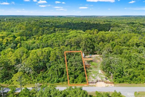 Land in Webster, Florida № 2158674 - photo 2