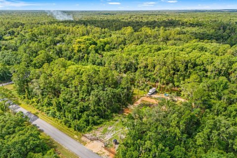 Land in Webster, Florida № 2158674 - photo 7