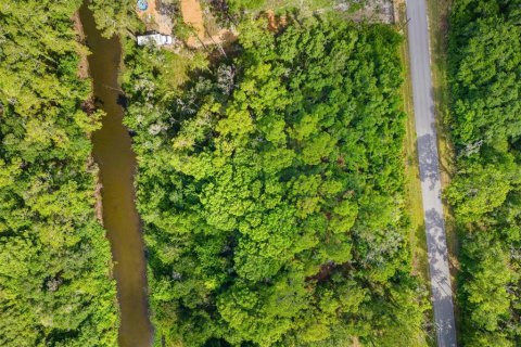 Land in Webster, Florida № 2158674 - photo 8