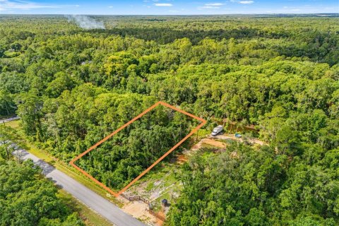 Land in Webster, Florida № 2158674