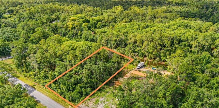 Land in Webster, Florida № 2158674
