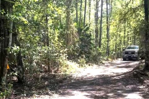 Land in Davenport, Florida № 1770959 - photo 7