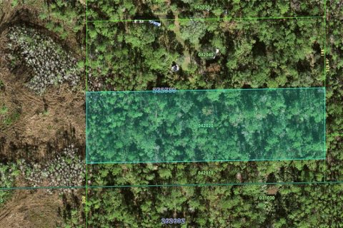 Land in Davenport, Florida № 1770959 - photo 4