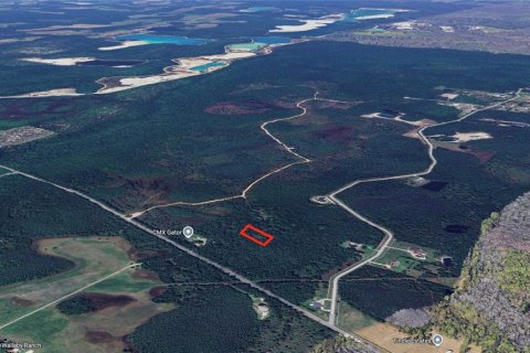 Land in Davenport, Florida № 1770959 - photo 1