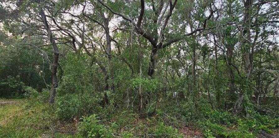 Land in New Port Richey, Florida № 2165996