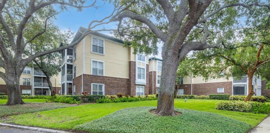 Condo in Tampa, Florida, 1 bedroom  № 1854345