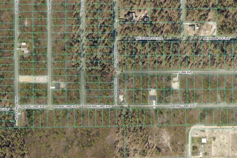 Land in Dunnellon, Florida № 2165341 - photo 2