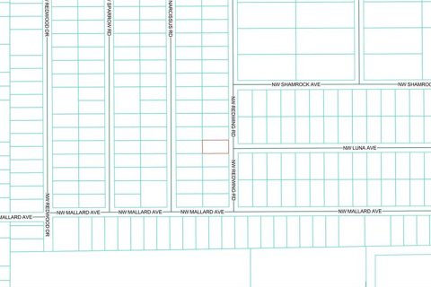 Land in Dunnellon, Florida № 2165341 - photo 3