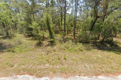 Land in Dunnellon, Florida № 2165341