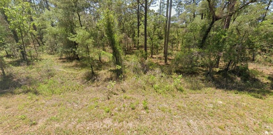 Land in Dunnellon, Florida № 2165341