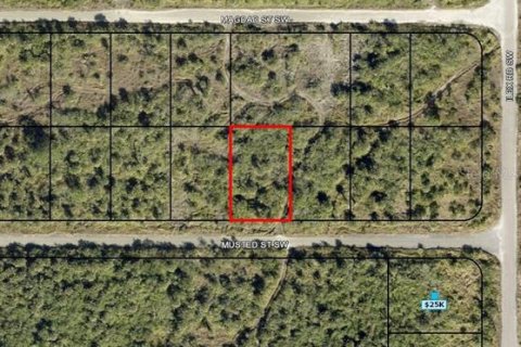 Land in Palm Bay, Florida № 2364444