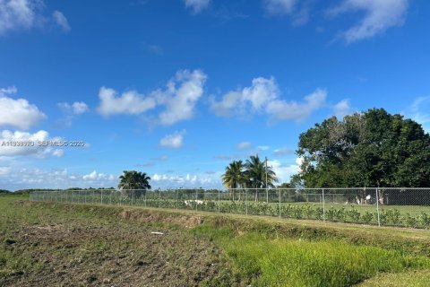 Immobilier commercial à vendre à Homestead, Floride № 2152648 - photo 6