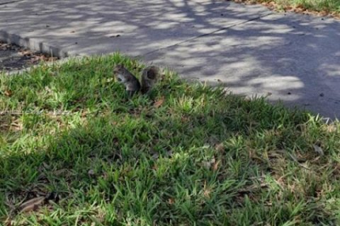 Casa en venta en Kissimmee, Florida, 4 dormitorios № 1852003 - foto 8