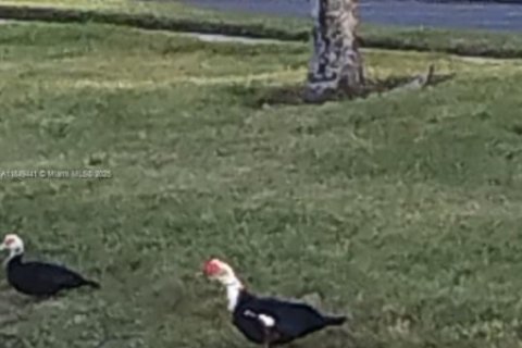 Casa en venta en Kissimmee, Florida, 4 dormitorios № 1852003 - foto 9