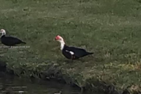 Casa en venta en Kissimmee, Florida, 4 dormitorios № 1852003 - foto 6