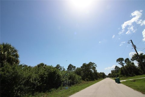 Terreno en venta en Punta Gorda, Florida № 2215269 - foto 4