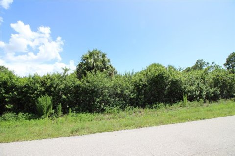 Terreno en venta en Punta Gorda, Florida № 2215269 - foto 5