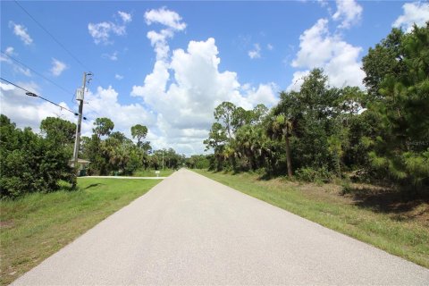 Terreno en venta en Punta Gorda, Florida № 2215269 - foto 8