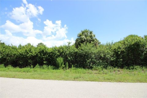 Terreno en venta en Punta Gorda, Florida № 2215269 - foto 6