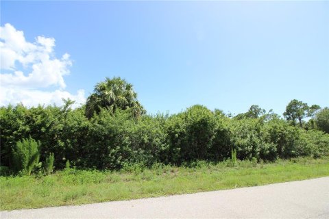 Terreno en venta en Punta Gorda, Florida № 2215269 - foto 7