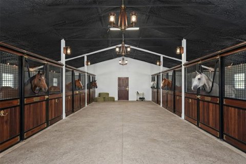 Villa ou maison à vendre à Oviedo, Floride: 8 chambres, 532.98 m2 № 2229905 - photo 21