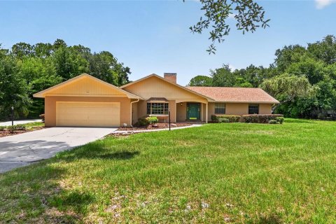 House in Winter Haven, Florida 4 bedrooms, 293.11 sq.m. № 2211195 - photo 2