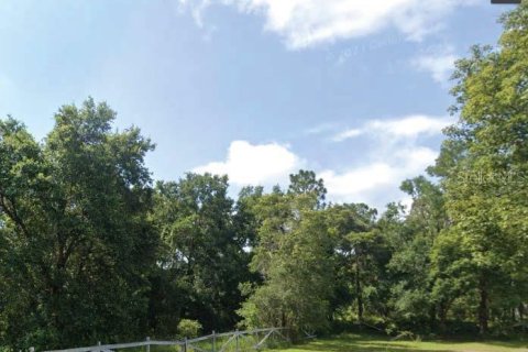 Land in Orlando, Florida № 1686412 - photo 1