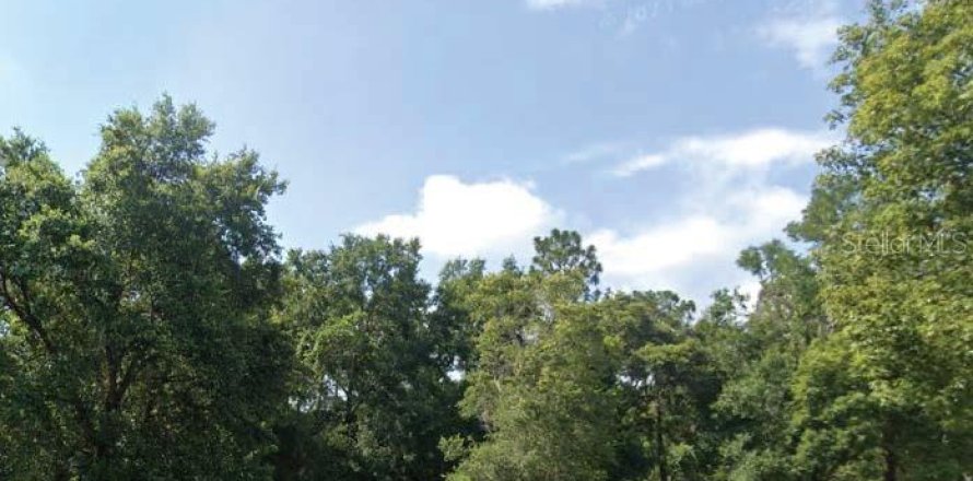 Land in Orlando, Florida № 1686412