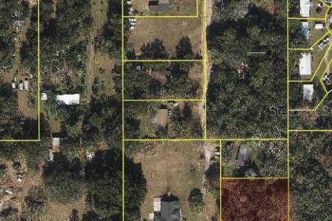 Land in Orlando, Florida № 1686412 - photo 3